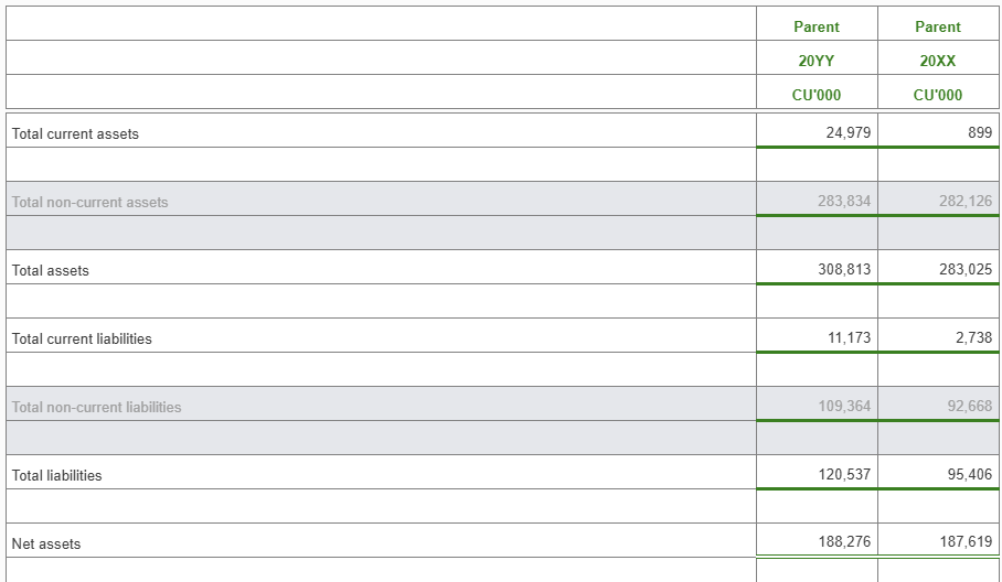 Image shows the Parent entity table with the Over disclosure-parent option set to Yes - net assets.
